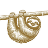 Follow The Sloth